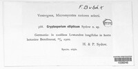 Media resource of Cryptosporium ellipticum